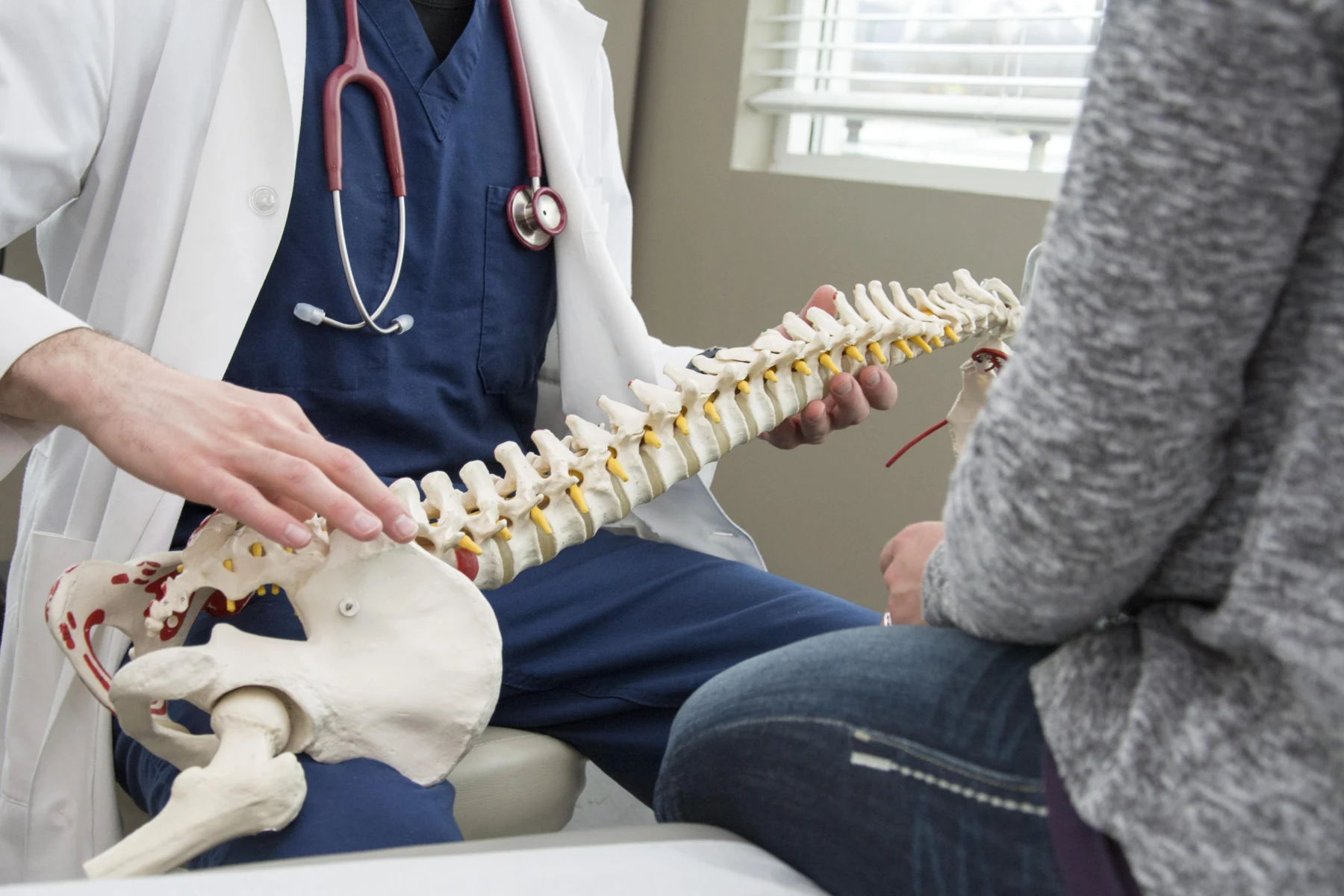 Clinician explaining spinal anatomy with a model during a consultation